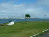 38 Salvador from the other side of the bay.JPG (122995 bytes)